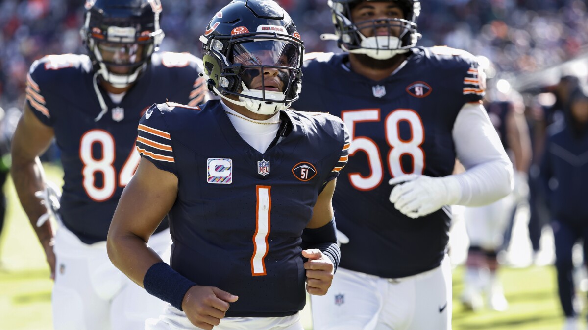 Bears football cheap